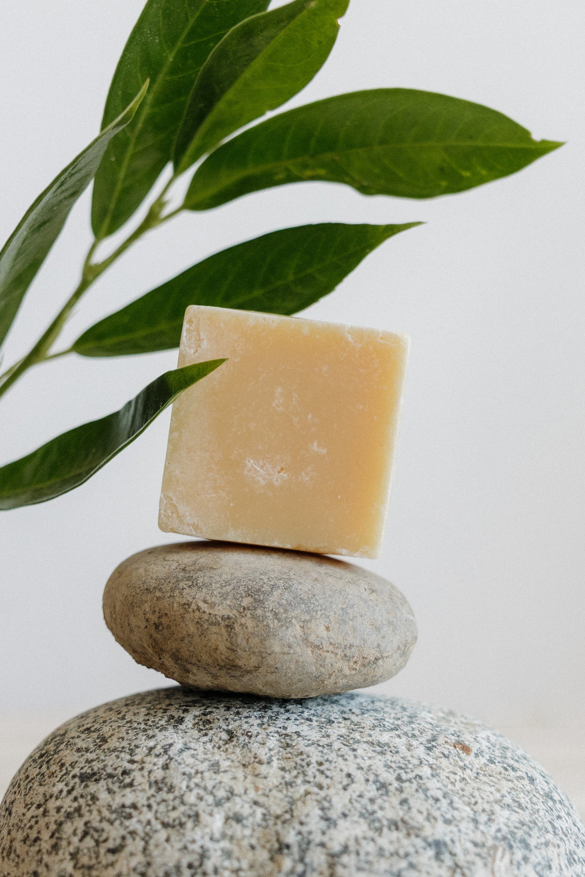 Vitamin C Facial Bar